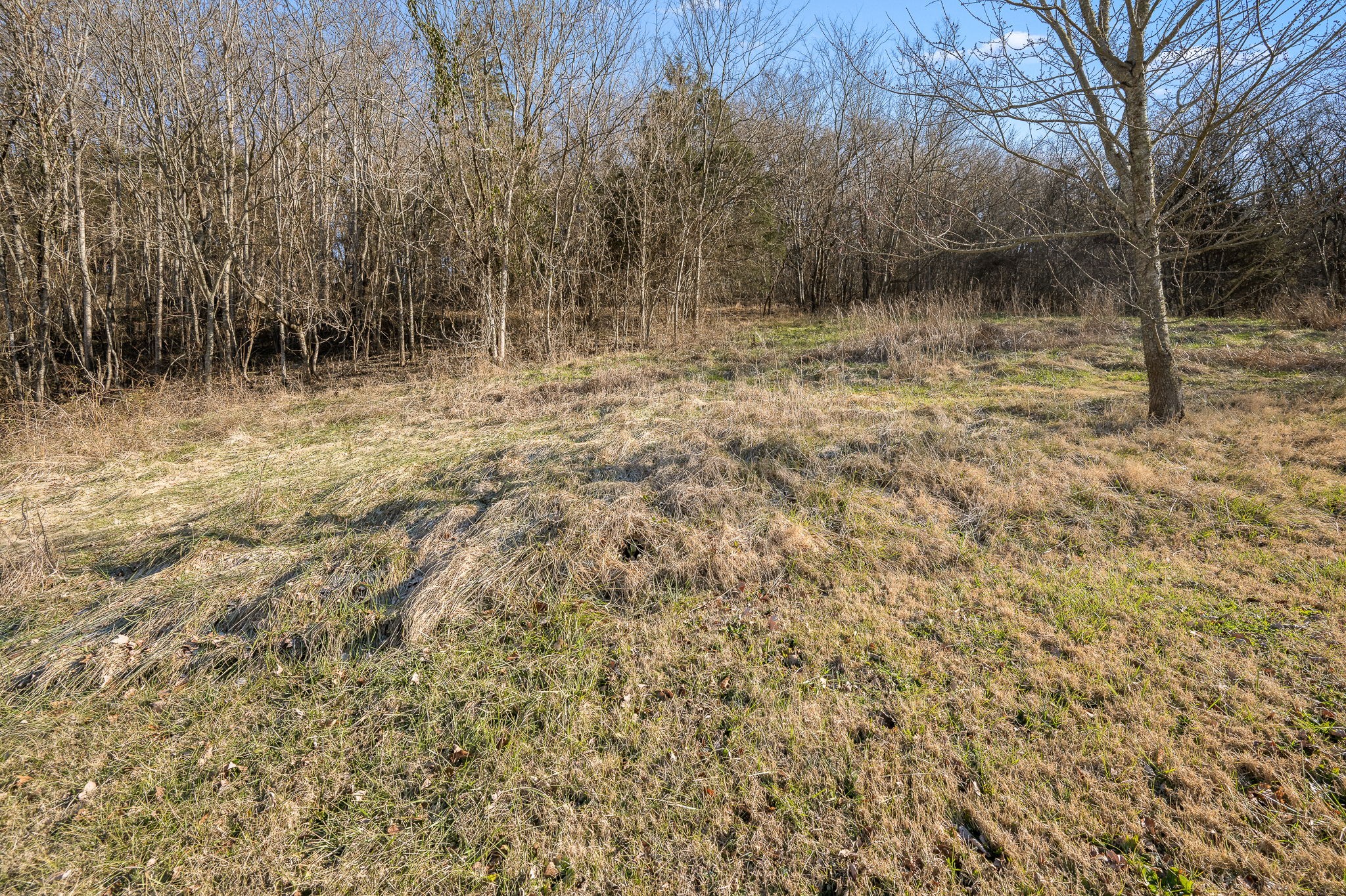 7757 Burks Hollow Road Christiana, TN 37037 - Photo 29 of 43