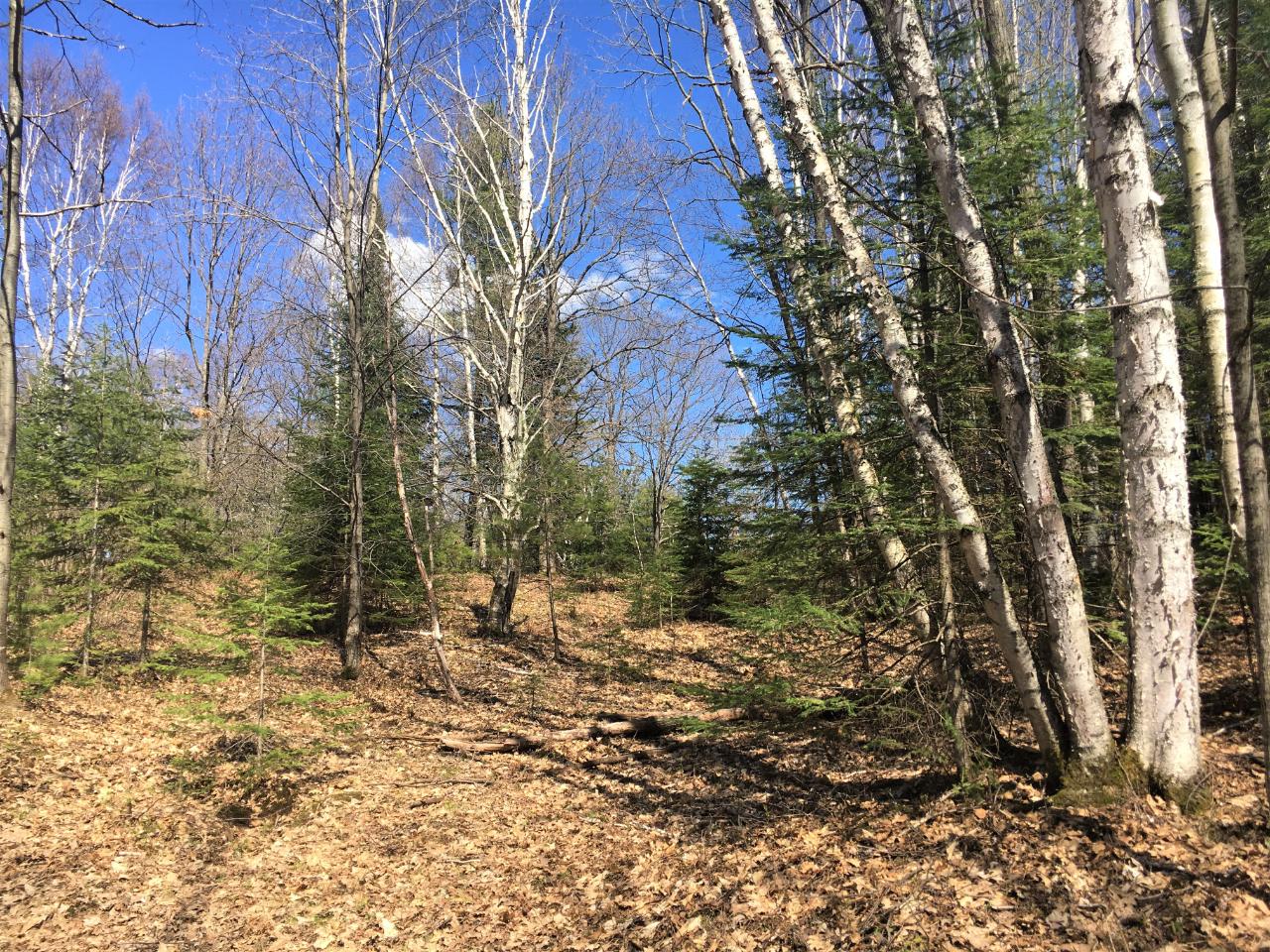 Lot 10 Boot Lake Road Eagle River, WI 54521 - Photo 13 of 14 Gallery Image 13