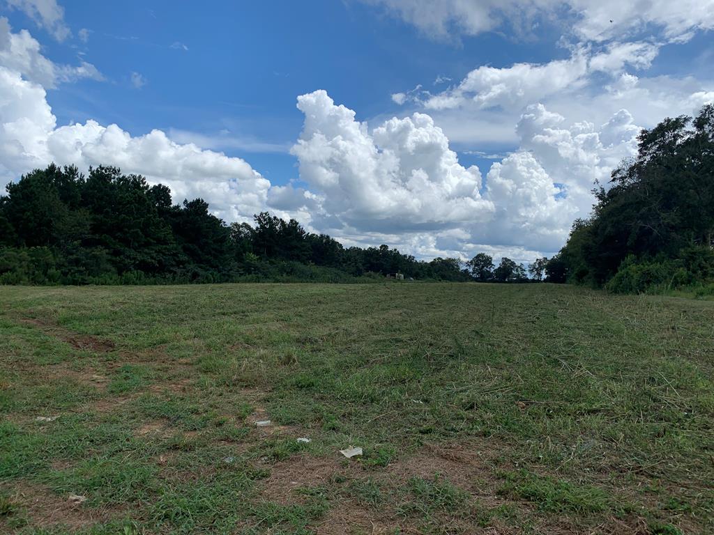 0 Thomley Road Newton, AL 36352 - Photo 6 of 8