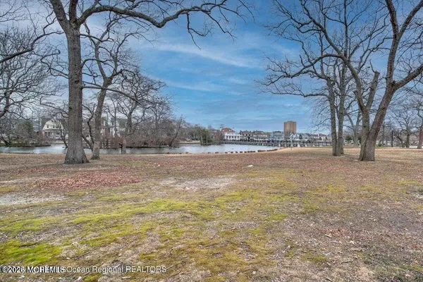 a view of large trees with yard