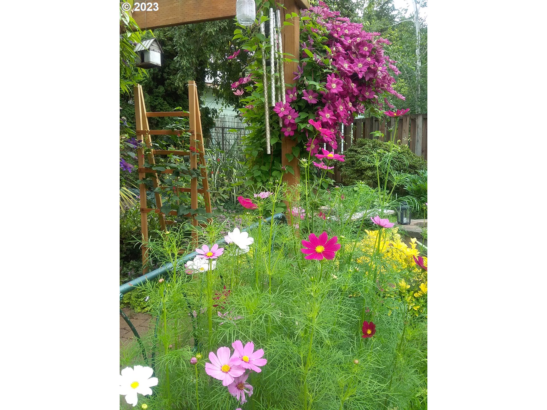 553 Southwest Clay Street Dallas, OR 97338 - Photo 33 of 33 a view of a flower