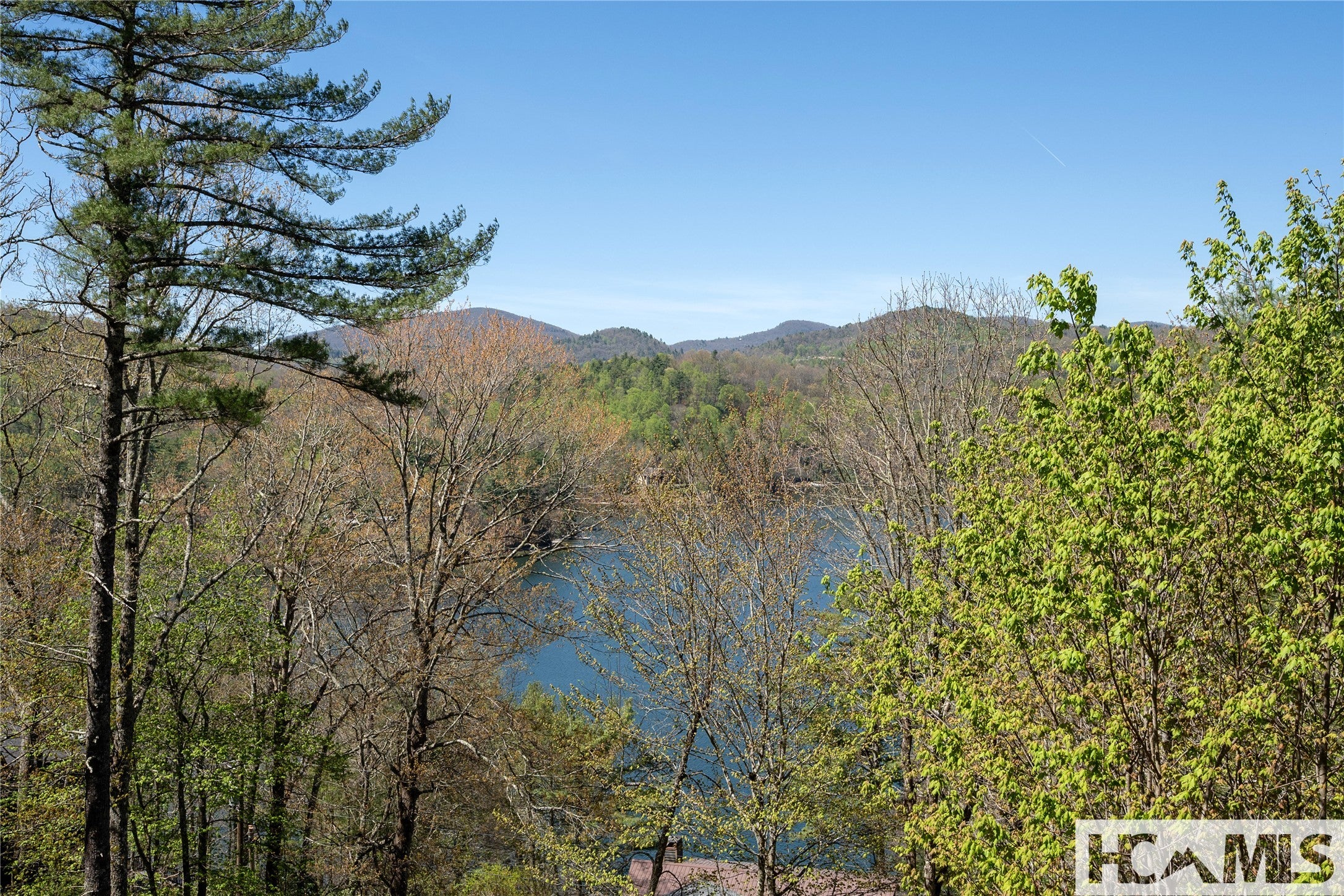 427 Rivard Road Glenville, NC 28736 - Photo 53 of 63 Gallery Image 53