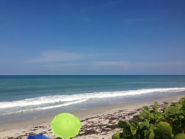 a close view of a sink and a stove