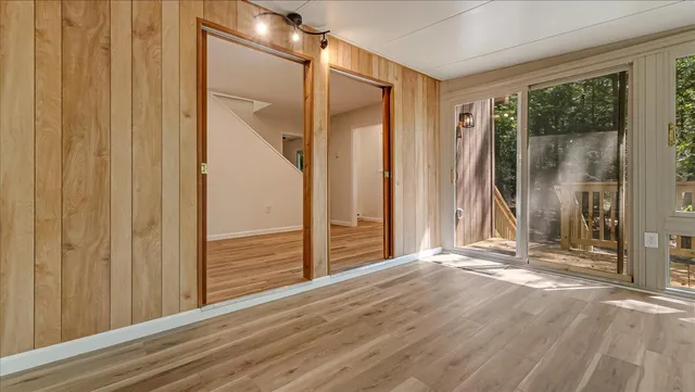 a view of a big yard with plants and large trees