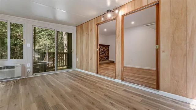 a view of a bunch of trees and bushes