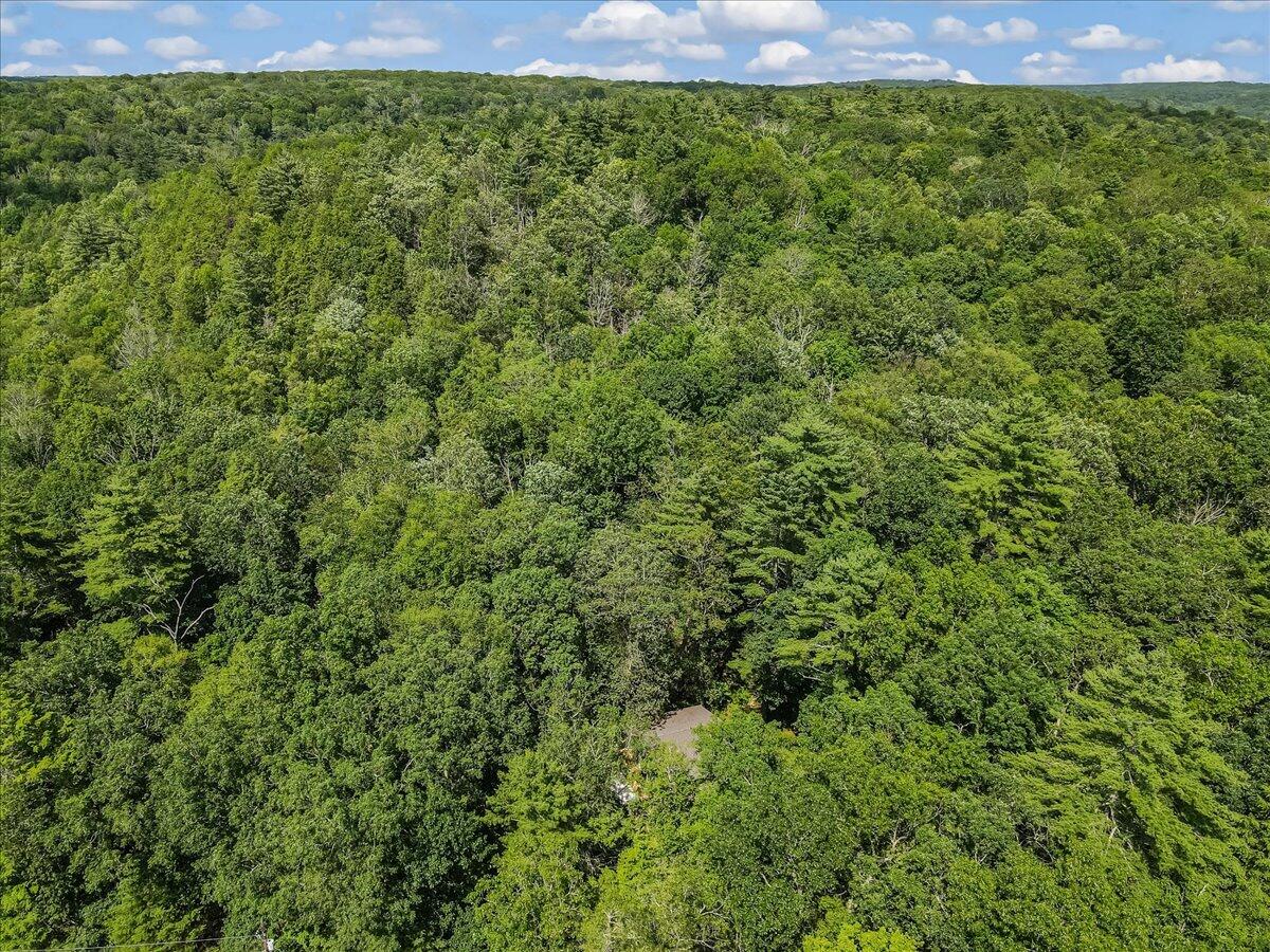 169 Sportsmen Drive Cresco, PA 18326 - Photo 54 of 61 a view of a big yard with plants and large trees