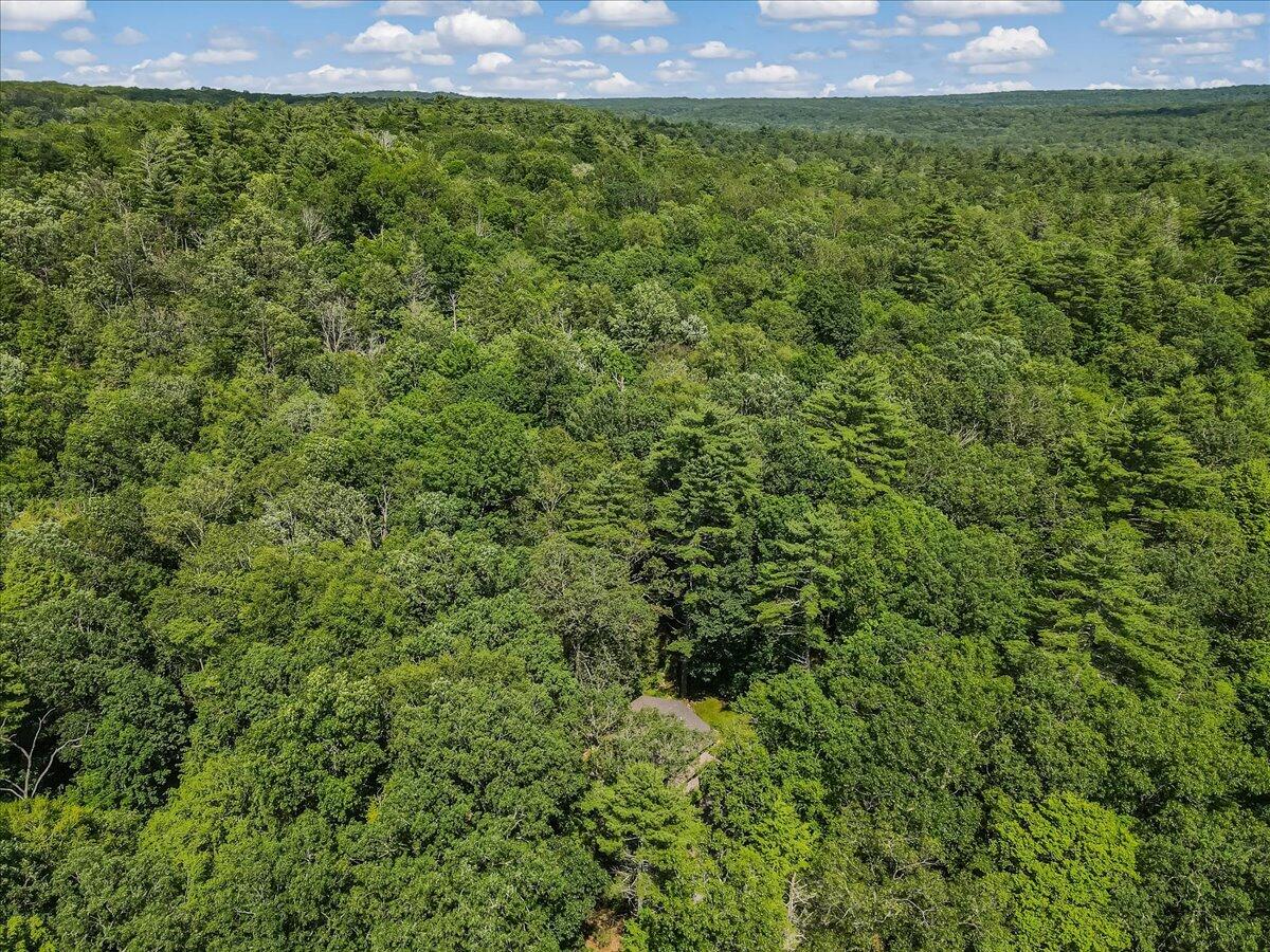 169 Sportsmen Drive Cresco, PA 18326 - Photo 56 of 61 a view of a bunch of trees and bushes