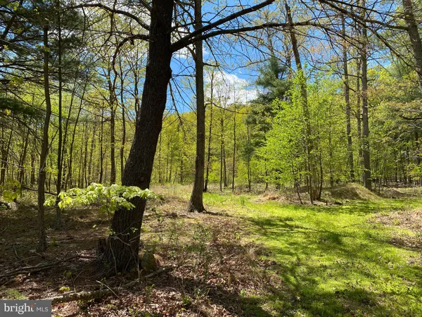 $70,000 | 84 Alex Lane, Berkeley Springs, WV 25411