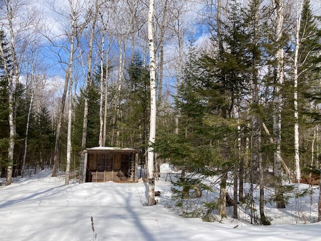 Lot 36 Partridge Ridge Road Oquossoc, ME 04964 - Photo 2 of 5 IMG_3277