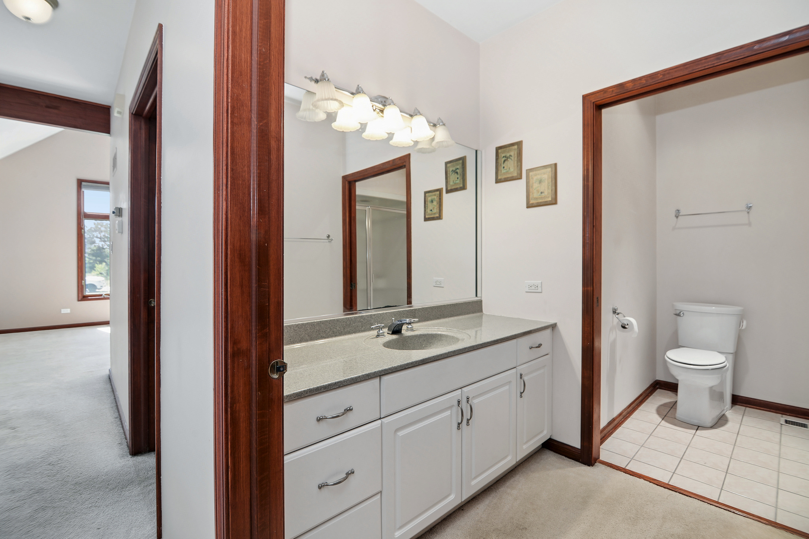26502 South Winfield Road Monee, IL 60449 - Photo 15 of 41