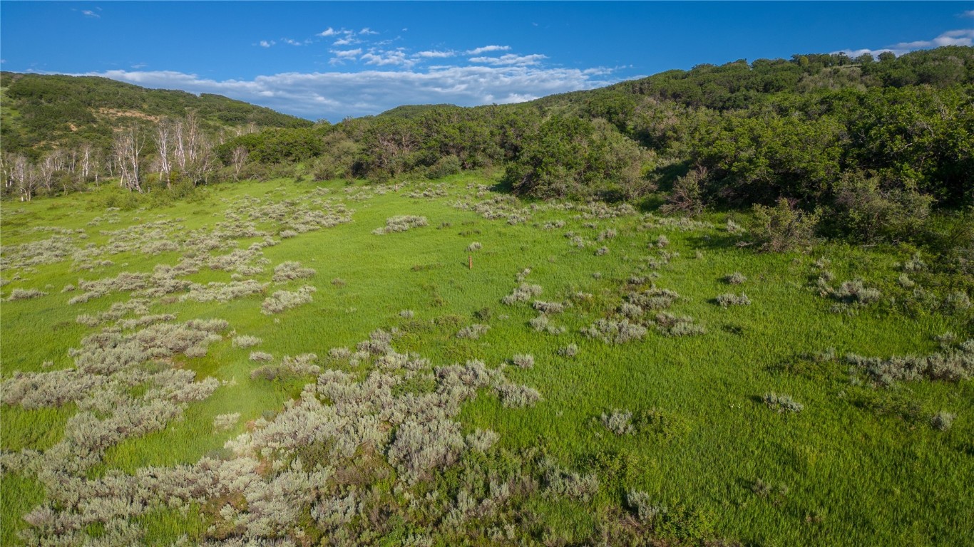 27105 Cowboy Up Road Steamboat Springs, CO 80487 - Photo 15 of 28 a view of an outdoor space and a mountain view