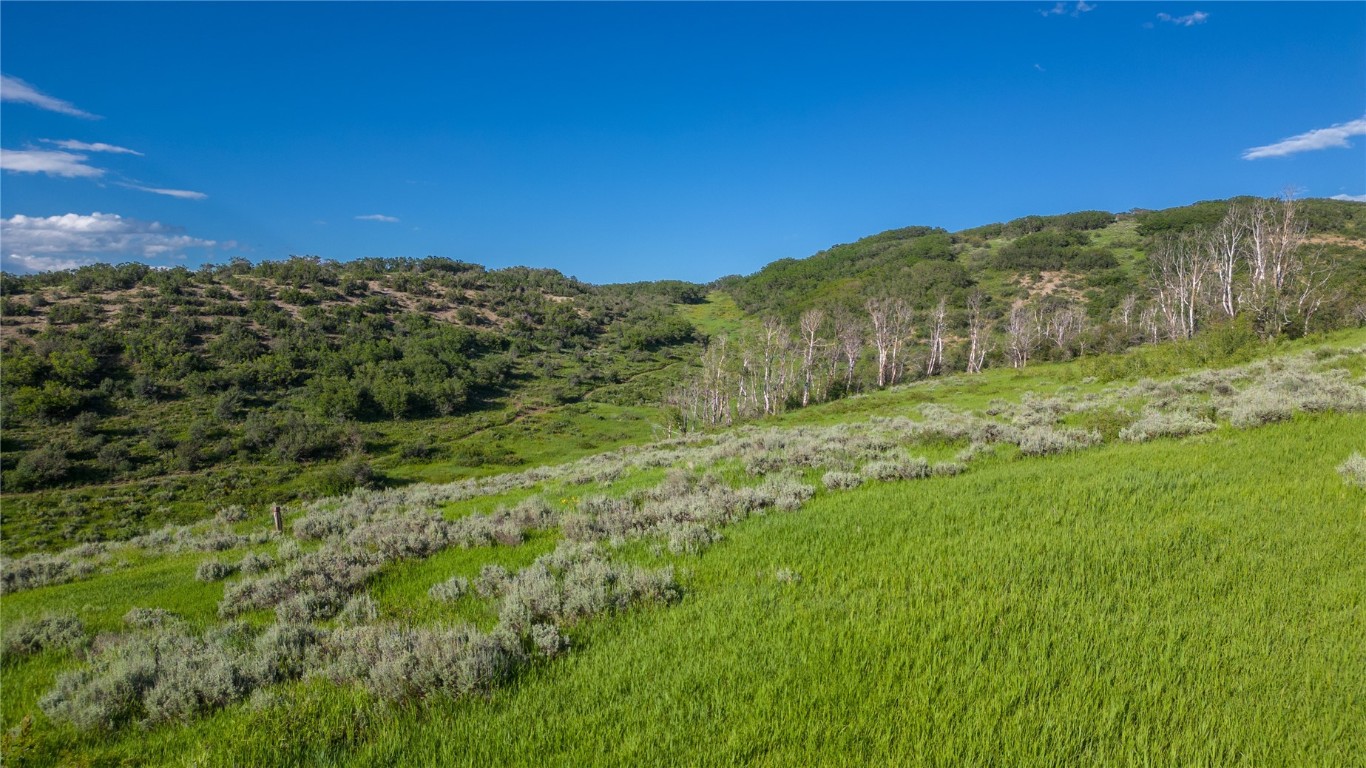 27105 Cowboy Up Road Steamboat Springs, CO 80487 - Photo 18 of 28