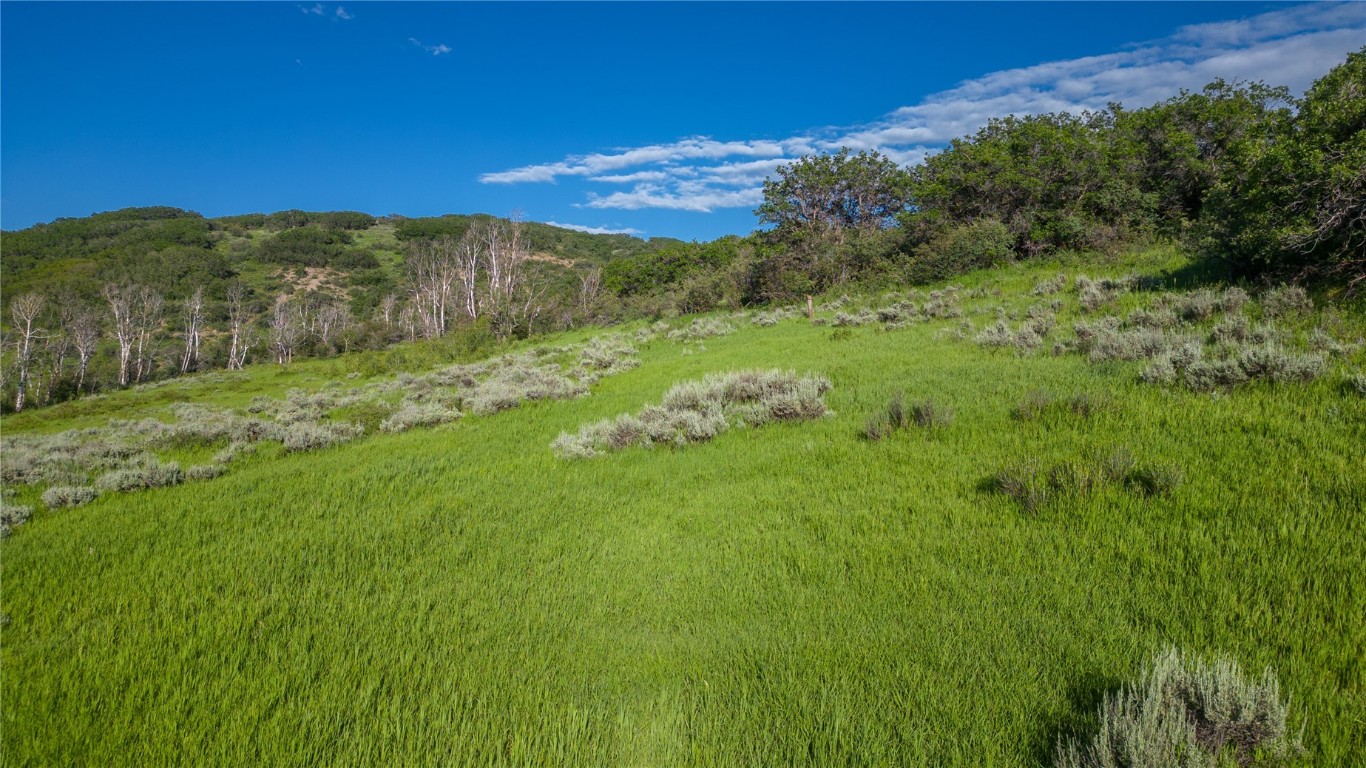 27105 Cowboy Up Road Steamboat Springs, CO 80487 - Photo 19 of 28 a view of an ocean