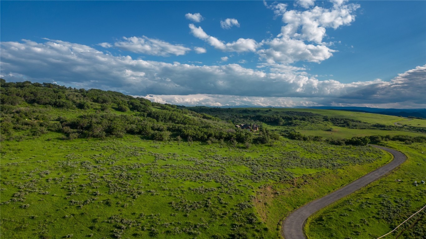27105 Cowboy Up Road Steamboat Springs, CO 80487 - Photo 20 of 28 a view of a green field with lots of bushes