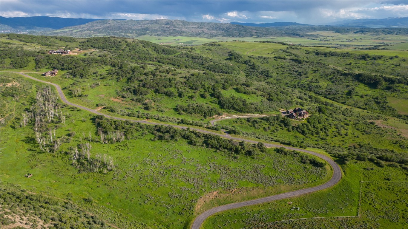 27105 Cowboy Up Road Steamboat Springs, CO 80487 - Photo 23 of 28 a view of a lush green forest with a houses