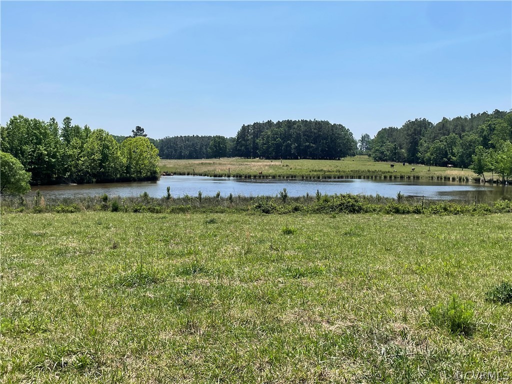 2989 Snead Spring Road Blackstone, VA 23824 - Photo 4 of 14