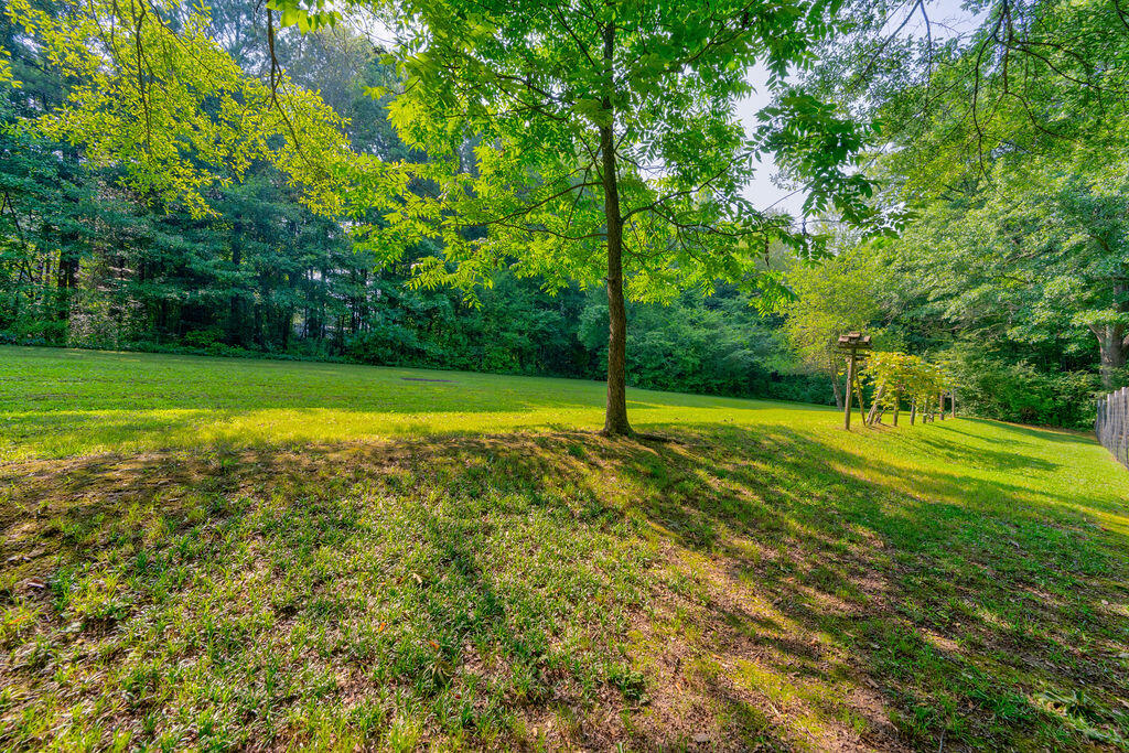 2329 Cave Hollow Road Northeast Dalton, GA 30721 - Photo 9 of 44 2329NECoveHollowRoad-21
