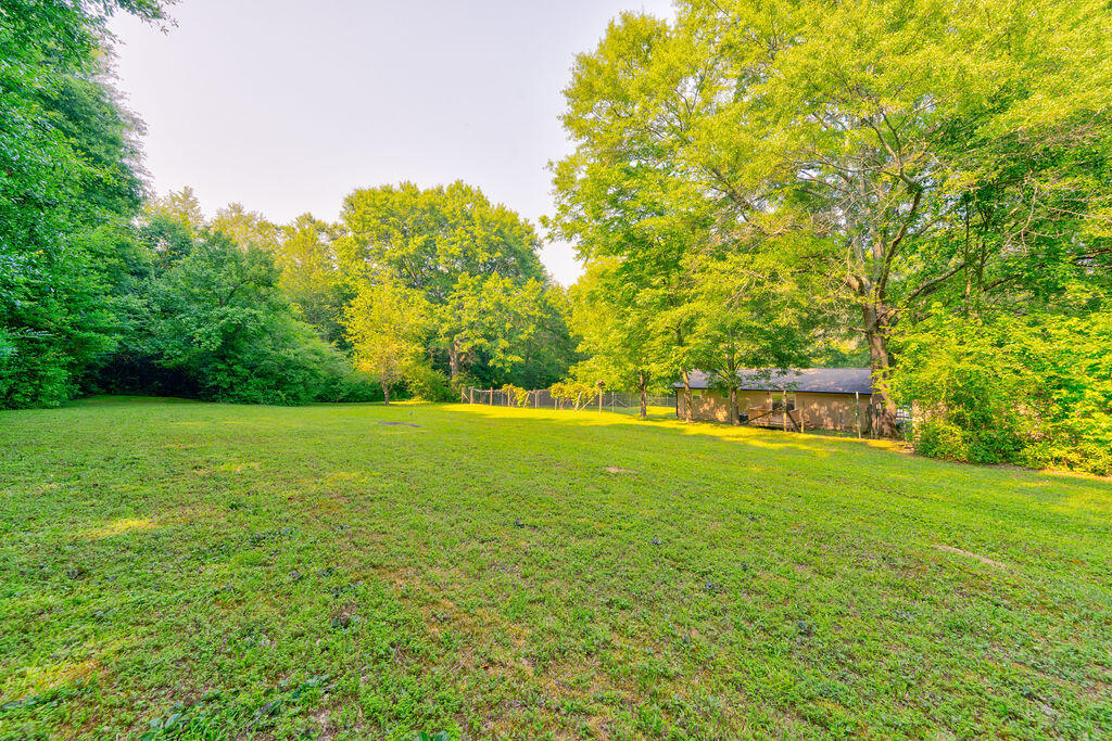 2329 Cave Hollow Road Northeast Dalton, GA 30721 - Photo 10 of 44 2329NECoveHollowRoad-22