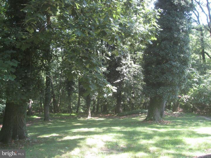 444 Upper Gulph Road Radnor, PA 19087 - Photo 20 of 21 Back Yard