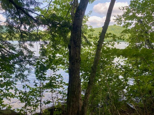 15-ac Colcord Pond Road Porter, ME 04068 - Photo 5 of 10 IMG_5884