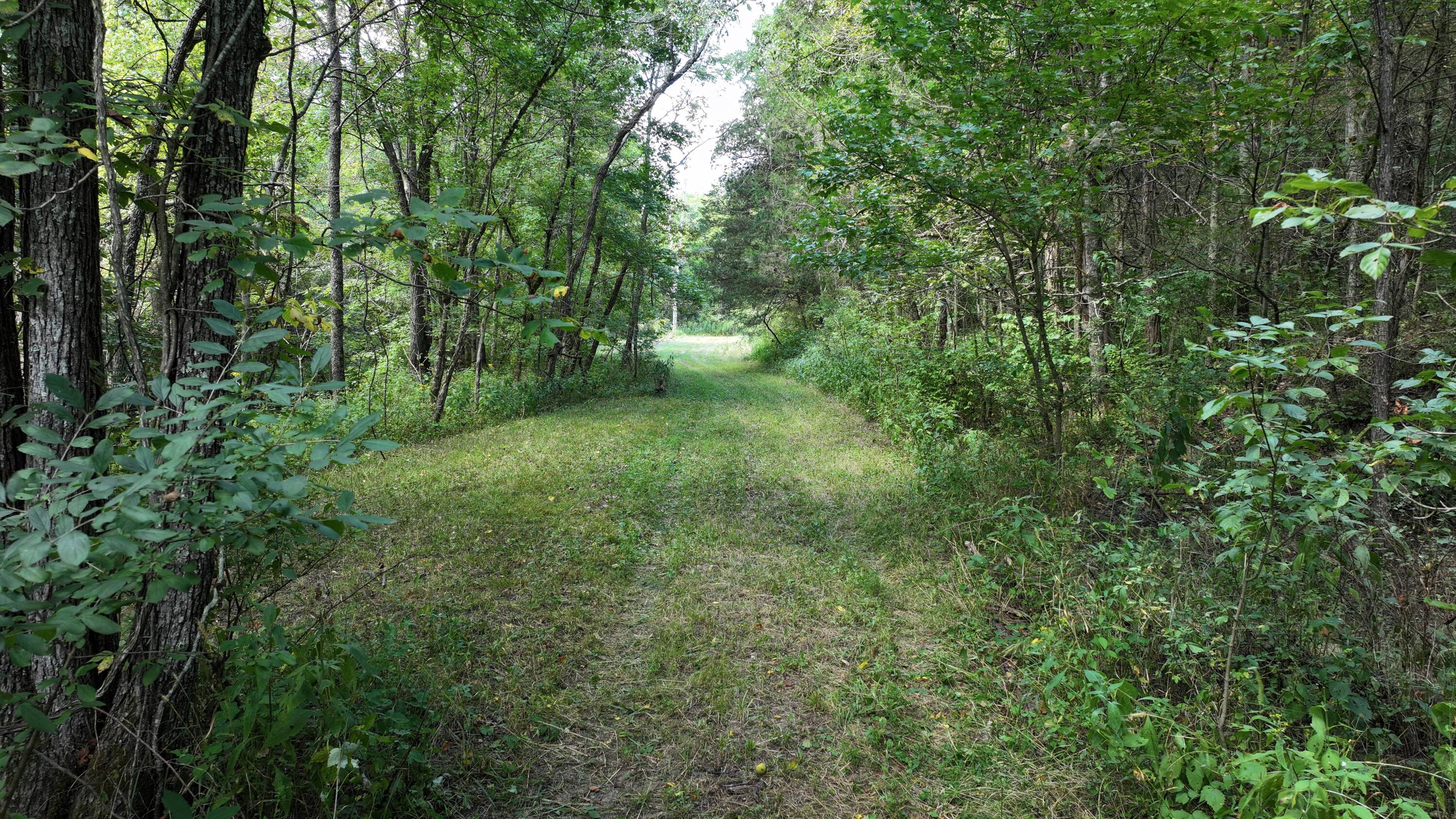0 Caney Creek Road Owenton, KY 40359 - Photo 29 of 35