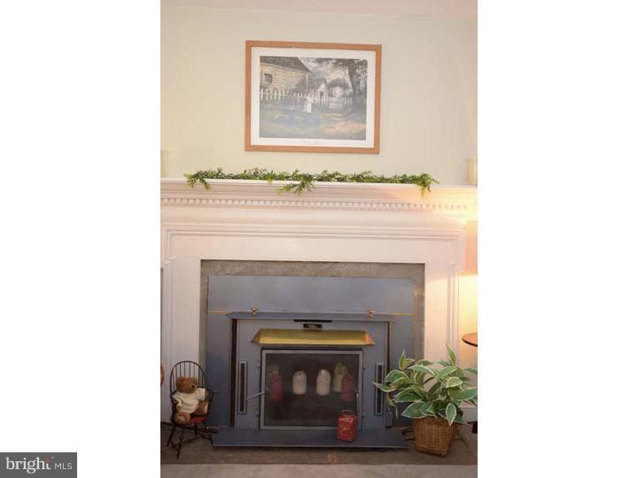 712 Hemlock Road Media, PA 19063 - Photo 19 of 19 Fireplace