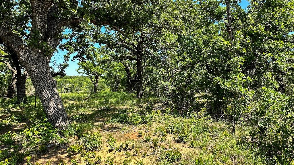 2417 Highway 569 Cisco Tx 76437 Cisco, TX 76437 - Photo 30 of 40