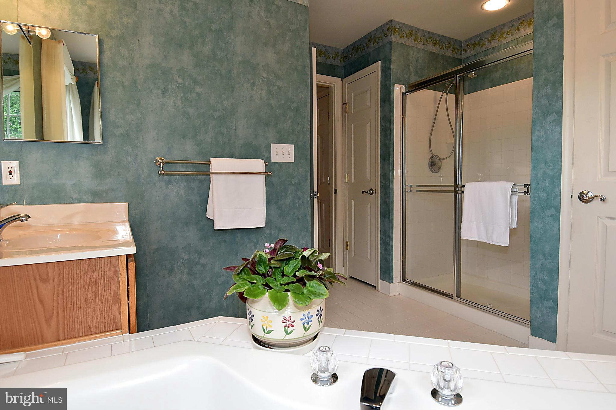 18811 Severn Road Gaithersburg, MD 20879 - Photo 23 of 30 Bath (Master)