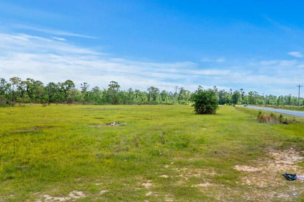 0 Highway 113 Highway Reeves, LA 70658 - Photo 5 of 12