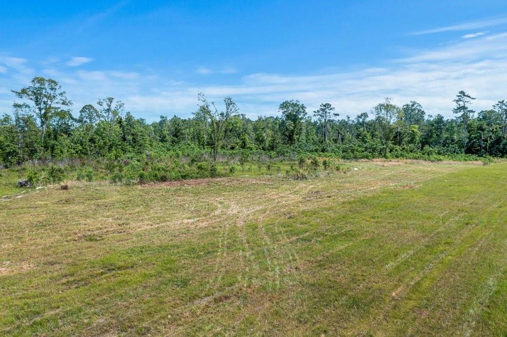 0 Highway 113 Highway Reeves, LA 70658 - Photo 6 of 12