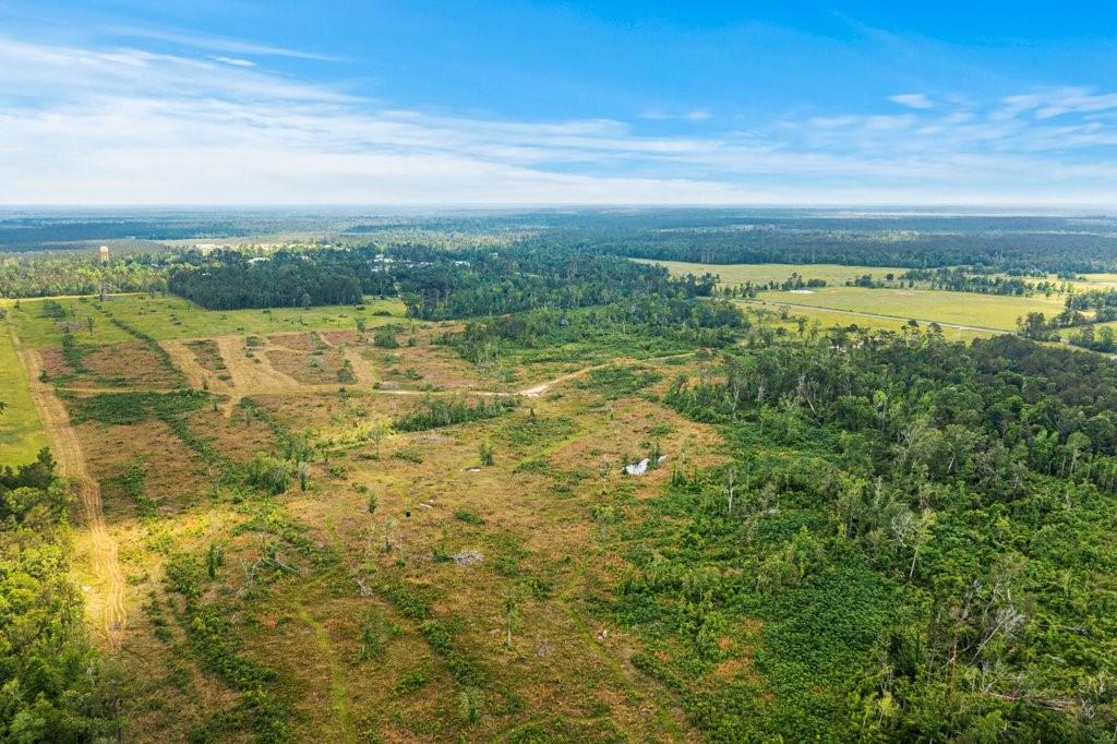 0 Highway 113 Highway Reeves, LA 70658 - Photo 8 of 12