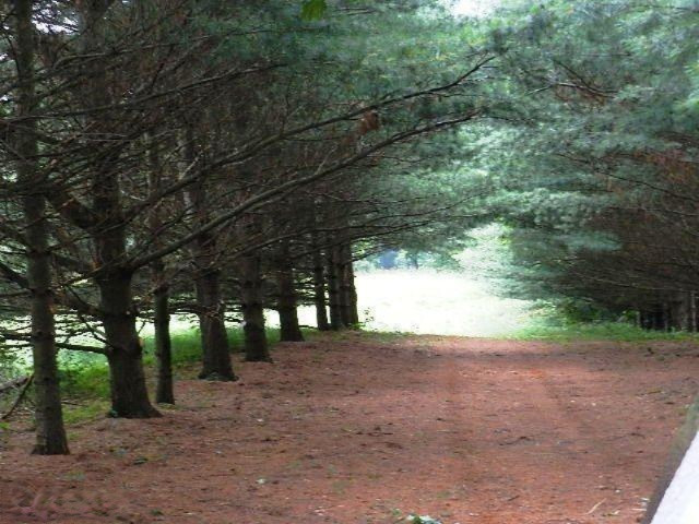 1 Twin Lakes Road Cassopolis, MI 49031 - Photo 3 of 4 Additional Photo