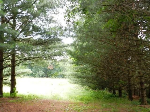 1 Twin Lakes Road Cassopolis, MI 49031 - Photo 4 of 4 Additional Photo