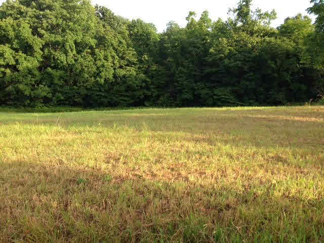 490 County Road Paoli, IN 47454 - Photo 5 of 7 Gallery Image 5