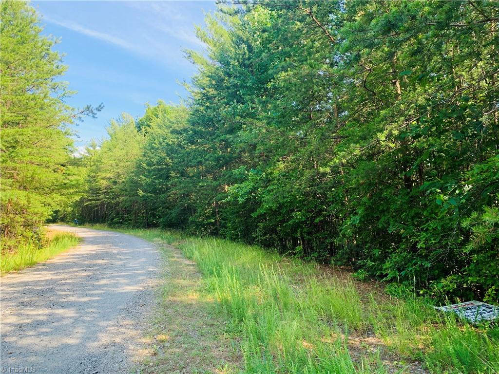 Lot 79 Deer Antler Road Purlear, NC 28665 - Photo 1 of 9