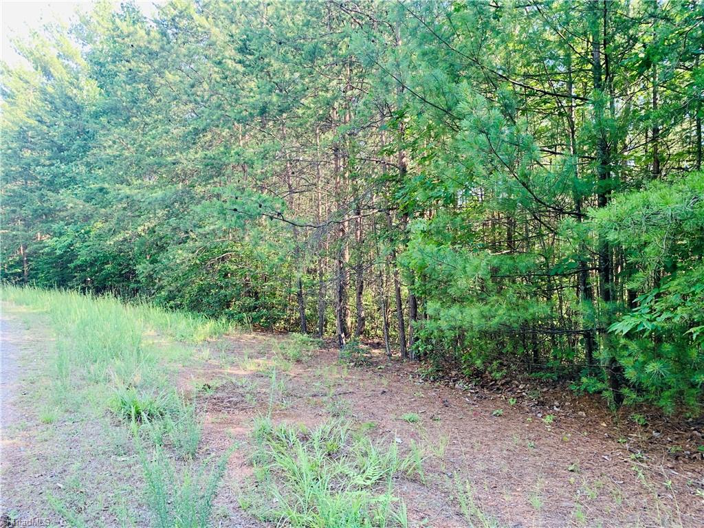 Lot 79 Deer Antler Road Purlear, NC 28665 - Photo 2 of 9