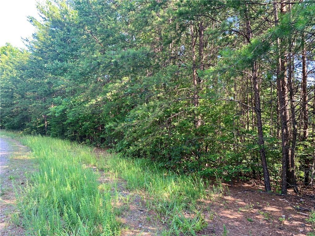 Lot 79 Deer Antler Road Purlear, NC 28665 - Photo 3 of 9
