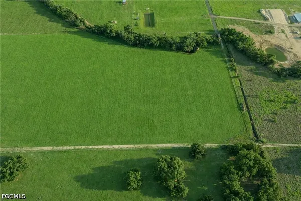 a green field with lots of bushes
