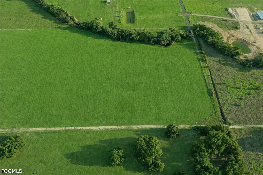 515 Norris Road Fort Denaud, FL 33935 - Photo 4 of 13 a green field with lots of bushes