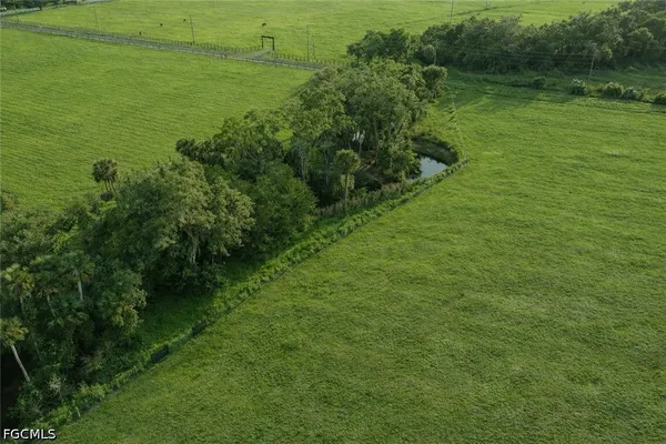 a view of a field with an ocean