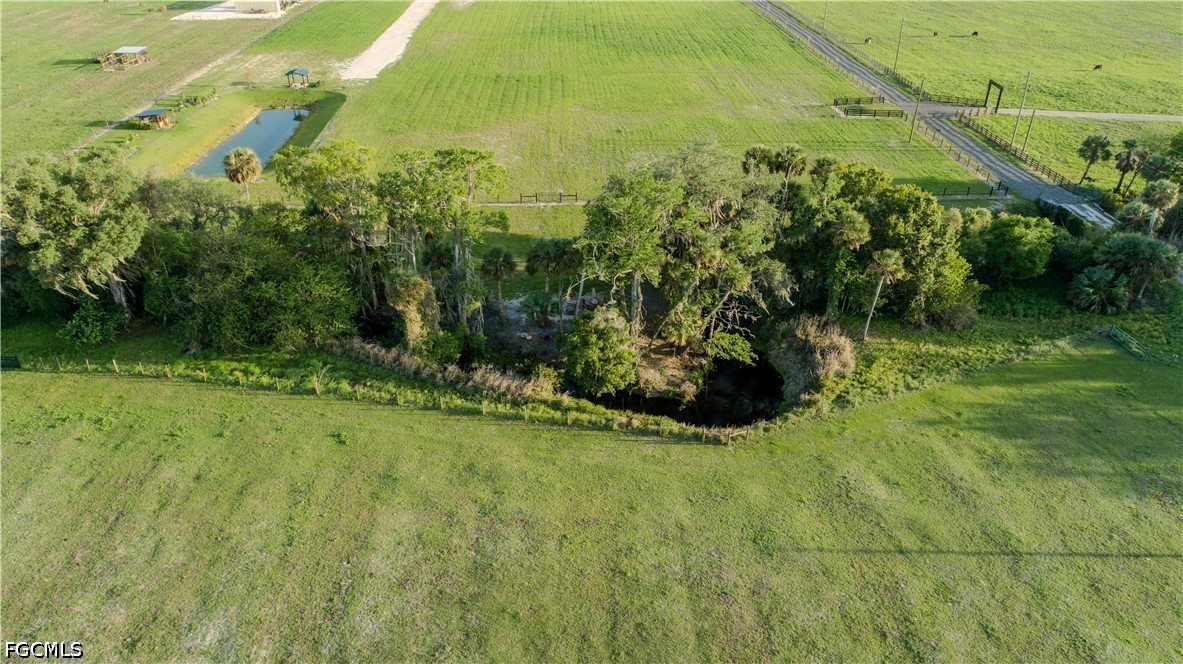 515 Norris Road Fort Denaud, FL 33935 - Photo 8 of 13 a view of a garden