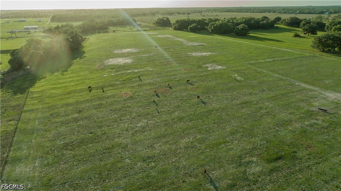 515 Norris Road Fort Denaud, FL 33935 - Photo 10 of 13 a view of a lake from a yard