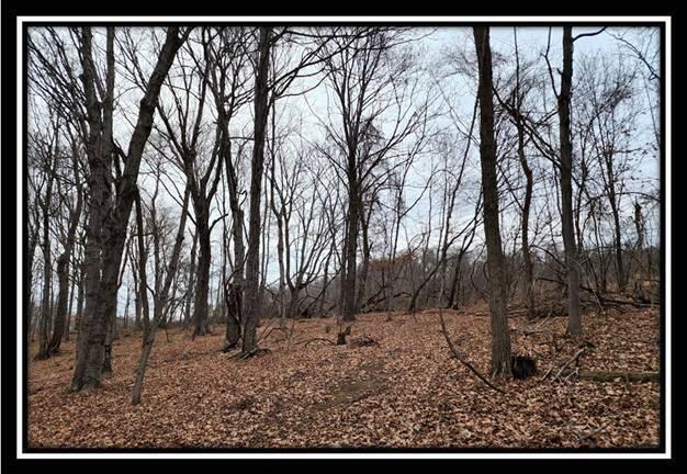 0 Black Run Road, Unit TRACT 8) Chillicothe, OH 45601 - Photo 38 of 47 image040