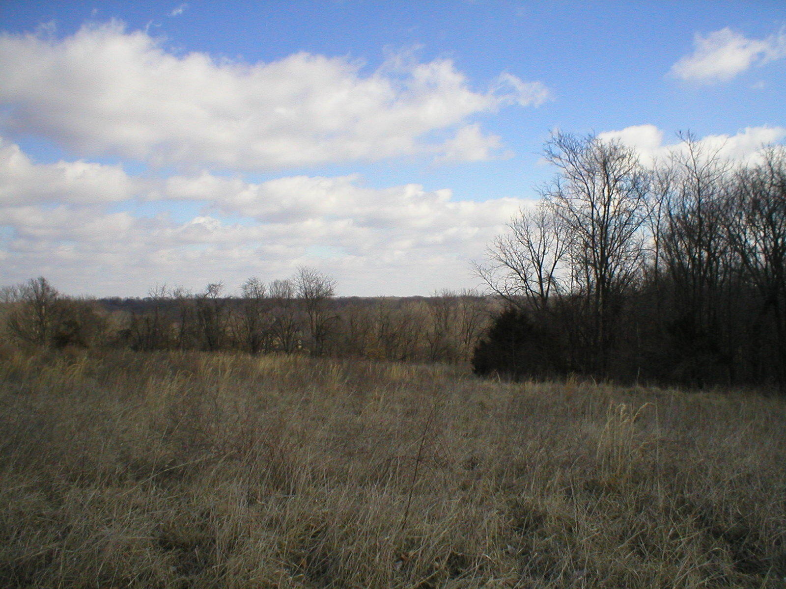 Lot 12 South Hancock Hill Road Rocheport, MO 65279 - Photo 1 of 1