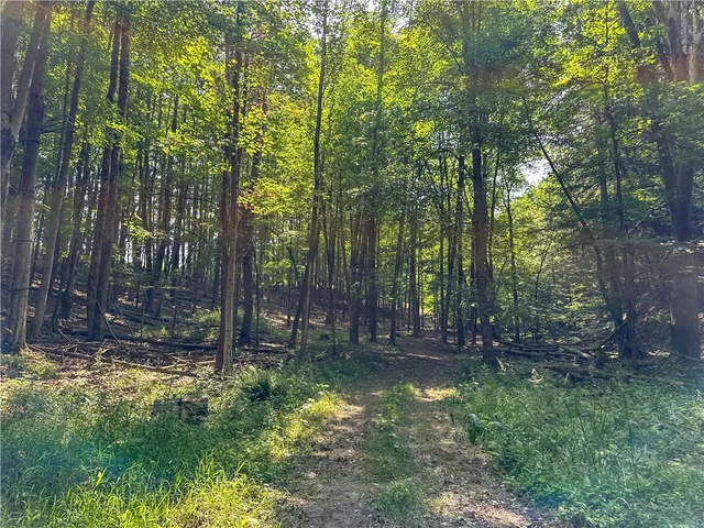 $179,900 | Vl Don Knibloe Road, Fillmore, NY 14735