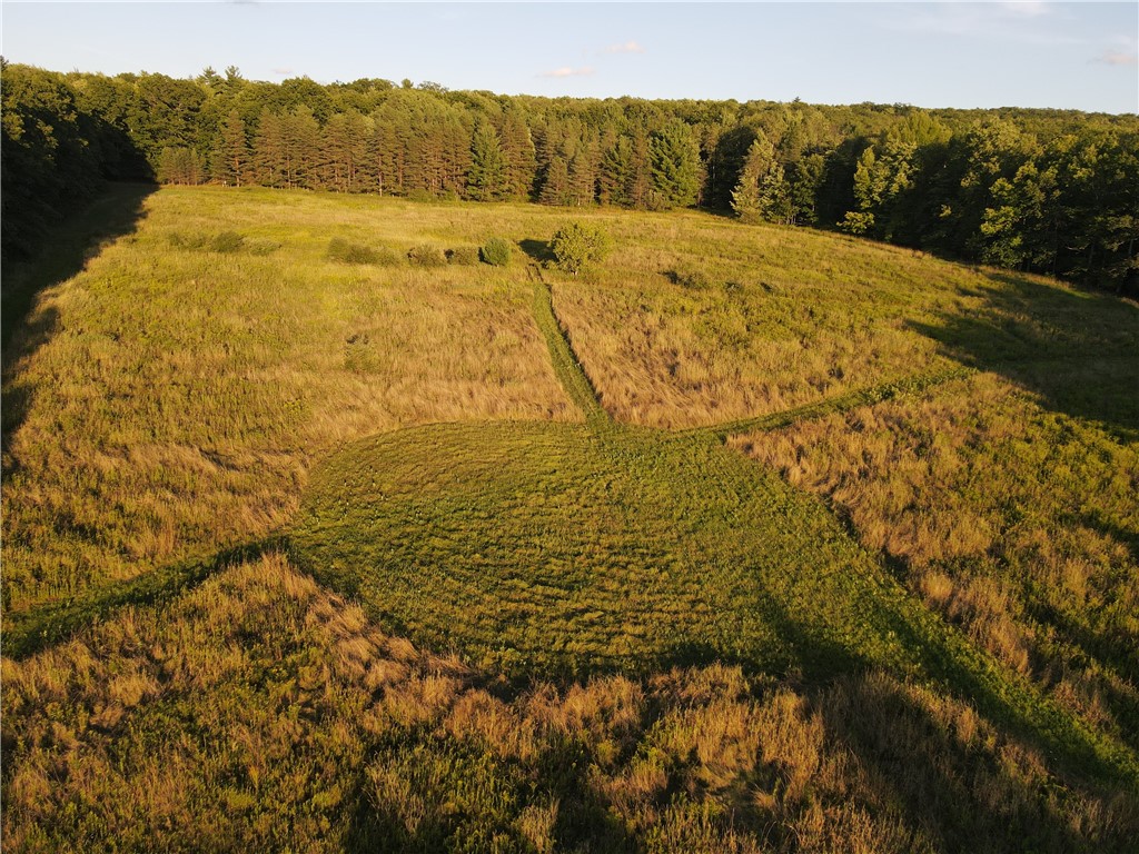 Vl Don Knibloe Road Fillmore, NY 14735 - Photo 5 of 48