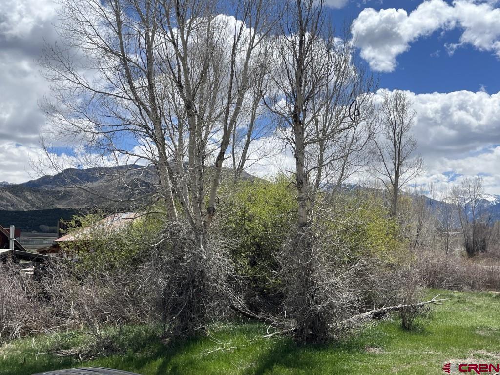 180 Liddell Drive Ridgway, CO 81432 - Photo 5 of 8 a view of a yard with large trees