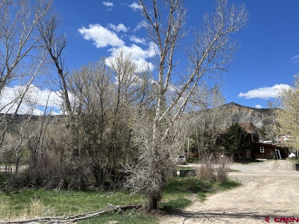 180 Liddell Drive Ridgway, CO 81432 - Photo 7 of 8 a view of a house with a yard