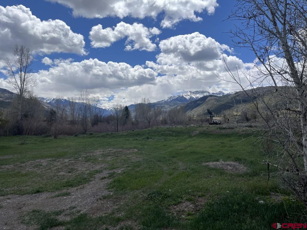 180 Liddell Drive Ridgway, CO 81432 - Photo 8 of 8 a view of a yard
