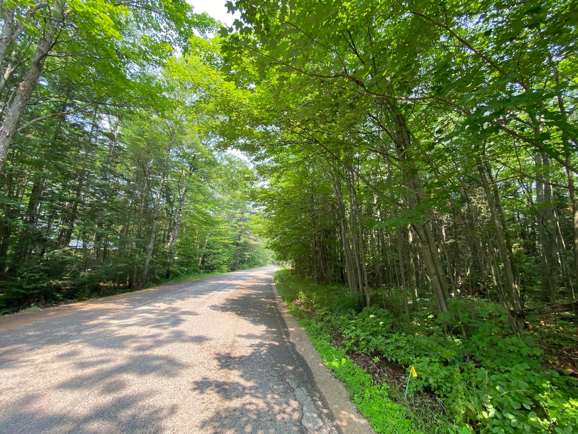 Tbd South Bay Mills Point Road Brimley, MI 49715 - Photo 13 of 29 Gallery Image 13